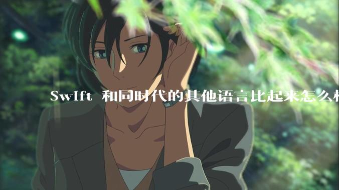 Swift 和同时代的其他语言比起来怎么样？