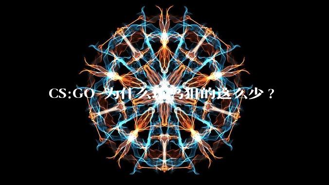 CS:GO 为什么玩鸟狙的这么少?